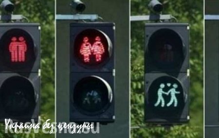 В Австрии установили светофоры для геев