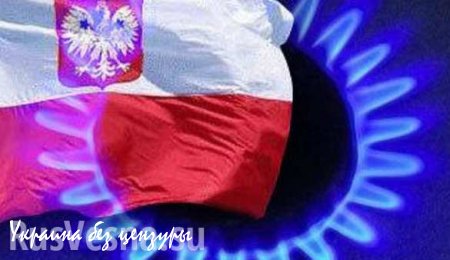 Польша поддерживая фашистскую Украину желает скидки на газ от России