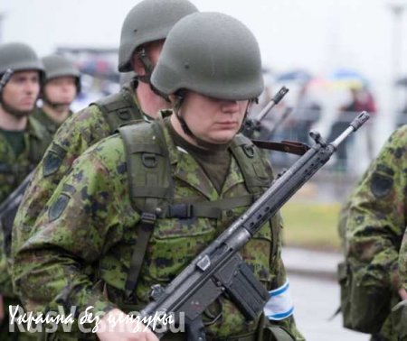 Министр обороны Эстонии призвал расстреливать «зеленых человечков»