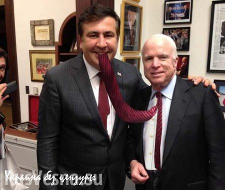 Саакашвили уверяет, что Маккейн согласен войти в Совет реформ Украины