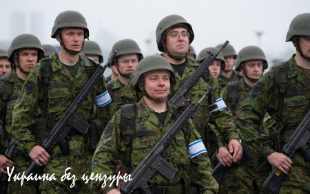 В Эстонии призвали расстреливать «зеленых человечков»