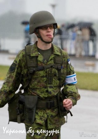 В Эстонии призвали расстреливать «зеленых человечков»