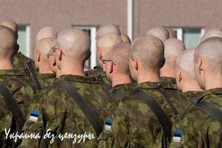 В Эстонии призвали расстреливать «зеленых человечков»