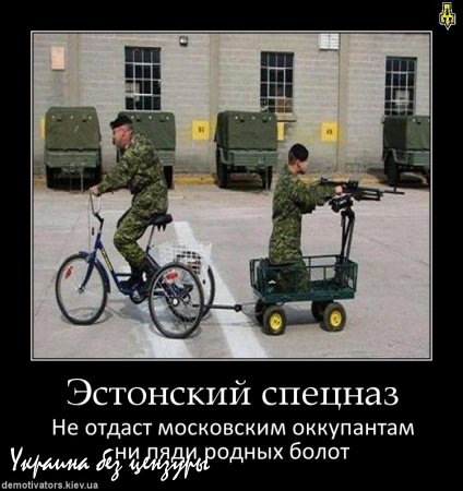 В Эстонии призвали расстреливать «зеленых человечков»