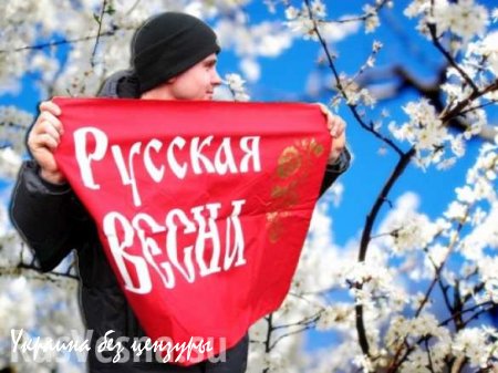 Зачем мы вывесили скандальный ролик? — объяснение «Русской Весны»