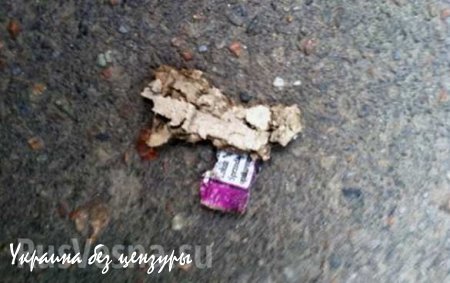 В Одессе взрыв петарды напугал националистов — в «Свободе» заявляют, что их офис пытались взорвать (ФОТО)