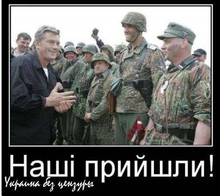 В телепередаче у Шустера украинский старик заявил о том, что немецкий концлагерь был прекрасен