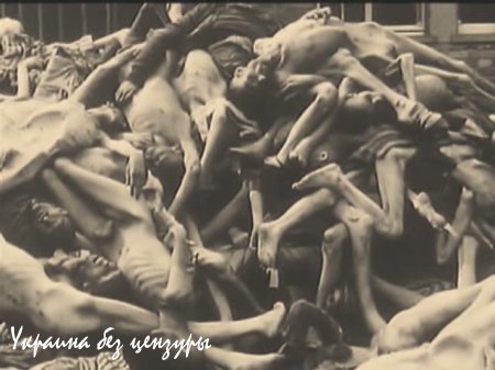 В телепередаче у Шустера украинский старик заявил о том, что немецкий концлагерь был прекрасен
