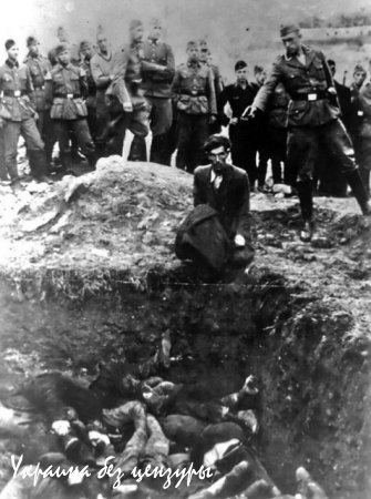 В телепередаче у Шустера украинский старик заявил о том, что немецкий концлагерь был прекрасен