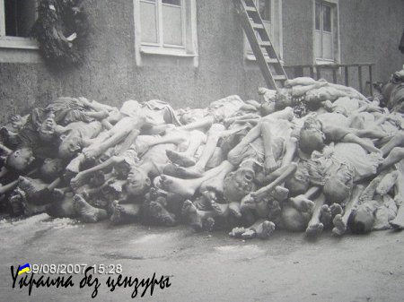 В телепередаче у Шустера украинский старик заявил о том, что немецкий концлагерь был прекрасен