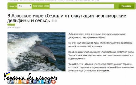 Дельфины и сельдь на службе украинской пропаганды: СМИ сообщают, что морские обитатели убегают от российской «оккупации» в территориальные воды Украины