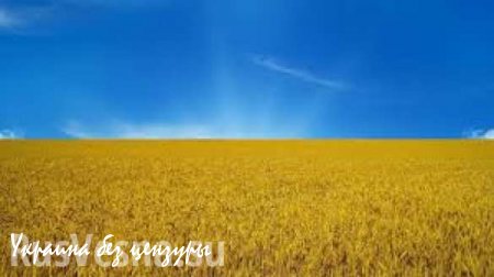 Кому на самом деле принадлежат сельскохозяйственные земли Украины?