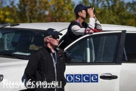 Наблюдатели ОБСЕ недосчитались украинских гаубиц, выведенных из Донбасса