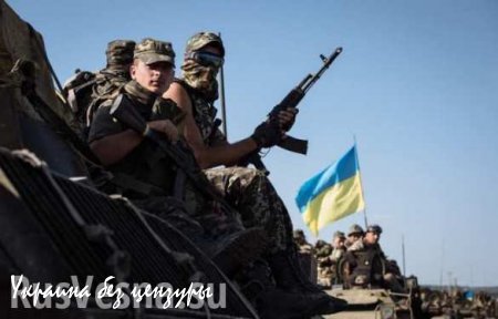 Подыгрывая нацистам в Киеве страны НАТО раскрутили маховик войны на Украине