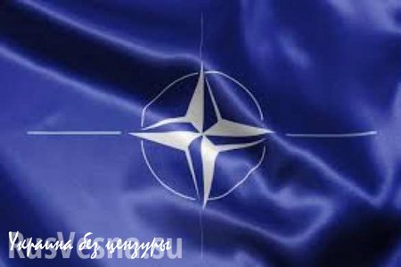 НАТО призывает Новороссию увеличить свою территорию