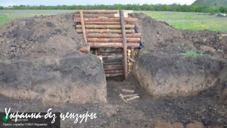 Пограничные укрепления помогут ВСУ получить премию Дарвина