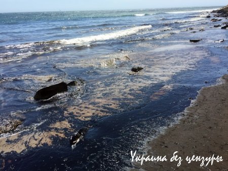 В Санта-Барбаре произошел разлив нефти: введен режим ЧС