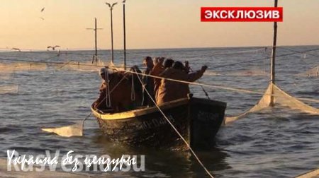 Рыбаки ДНР выходят в море под обстрелами, чтобы прокормить семьи (ФОТО, ВИДЕО)