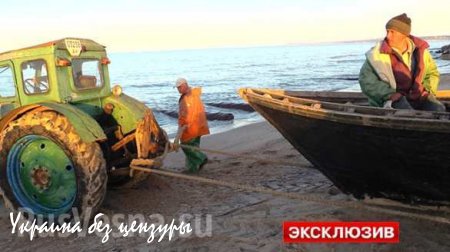 Рыбаки ДНР выходят в море под обстрелами, чтобы прокормить семьи (ФОТО, ВИДЕО)