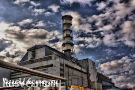 Лес вокруг Чернобыльской АЭС подожгли «агенты Кремля», решил министр экологии Украины