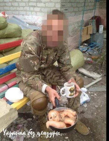 Латентный каннибализм от батальона «Азов»: боевики развлекаются «перфомансами», обжаривая расчлененного кукольного младенца -«москаля» на сковороде с гречневой кашей (ФОТО)
