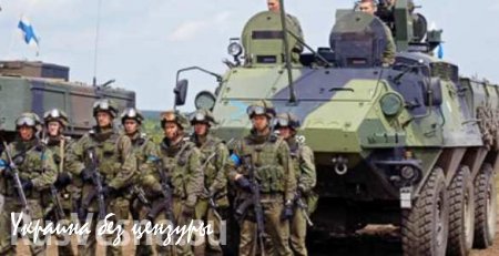 Армия Финляндии ведет себя так, будто готовится к войне с Россией, — западные СМИ