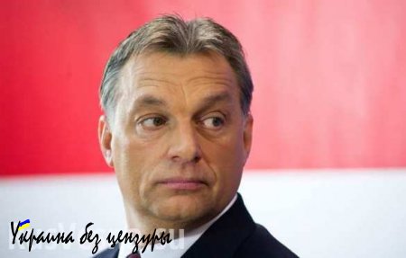 Сенсационное видео: Глава Еврокомиссии дал пощечину премьеру Венгрии Орбану (ВИДЕО)