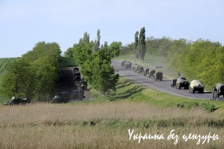 Reuters показал колонну российской военной техники возле украинской границы