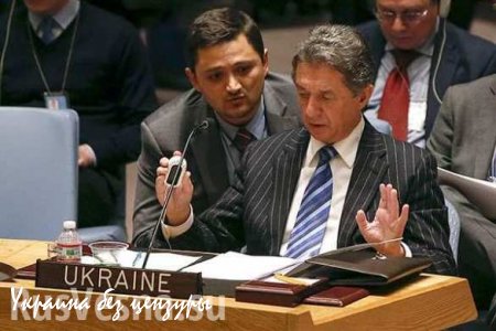 Постпред Украины в ООН анонсировал членство страны в Совете Безопасности