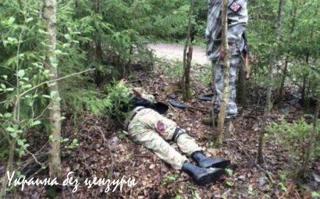 Убийство Мозгового - кто и зачем? Выводы. Часть II