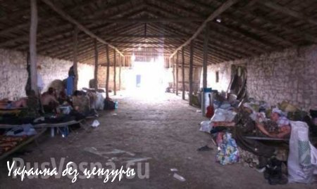 Танкисты из Кривого Рога живут в свинарнике и готовятся к бунту (ФОТО)