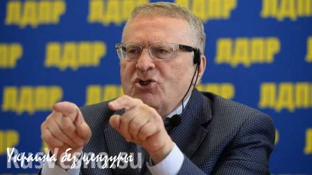 Жириновский согласился возглавить Новороссию (ВИДЕО)