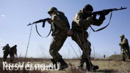 ВСУ проверяют на прочность линию обороны ДНР под Марьинкой (ВИДЕО)