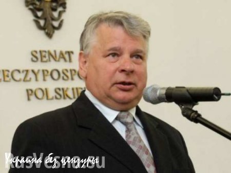 Спикер Сената Польши предложил создать черный список «россиян-пропагандистов»