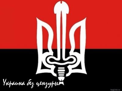 Правый Сектор требует от Порошенко начать войну против Донбасса Правый Сектор требует от Порошенко начать войну против Донбасса