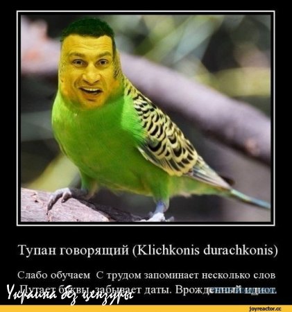 На праздновании