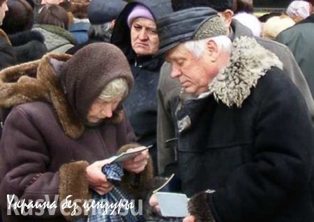 Часть социальных выплат в ДНР будет проводиться в долларах