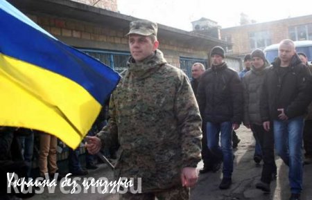 Украинские военкоматы охотятся на призывников в хостелах (ВИДЕО)