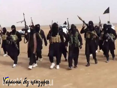 «Западные профессионалы» создают для ИГИЛ оружие массового уничтожения