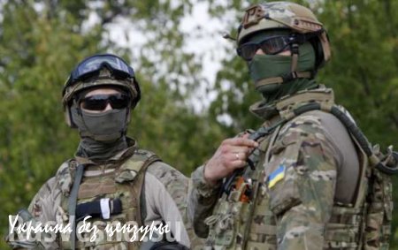 Киев заявил о совместном с НАТО проекте по созданию сил спецопераций