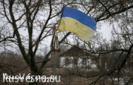 В поселке Октябрьский обнаружены фугасы с взрывателями замедленного действия, — Минобороны ДНР