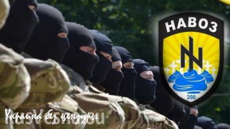 «Наши вооруженные силы не будут тренировать ненавистный нам неонацистский батальон Азов», — резолюция Конгресса США