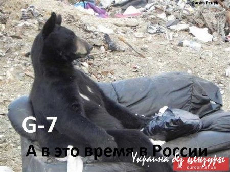 Путин на медведе сжег нефтебазу. Фотожабы недели
