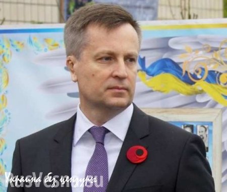 Наливайченко «за кресло не держится», но просит СМИ не муссировать тему его отставки с поста главы СБУ