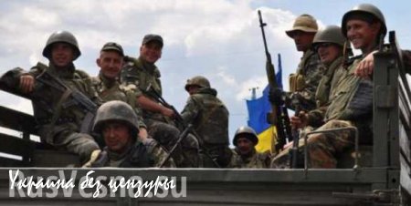 Комиссия парламента ДНР получила данные о сотнях военных преступлений украинских военных