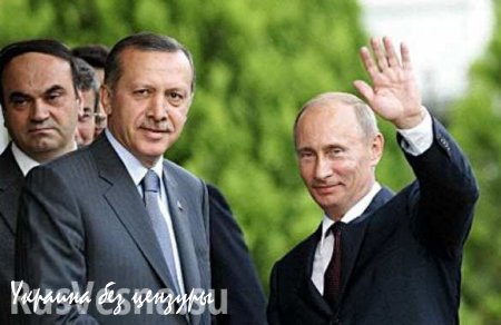 Стало известно о договоренностях Путина и Эрдогана в Баку