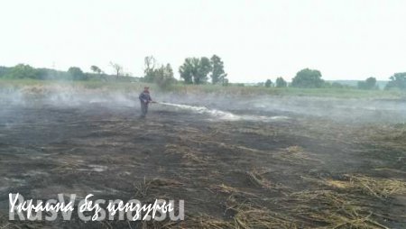 Нефтебаза догорела — теперь под Киевом горят торфяники (ФОТО)