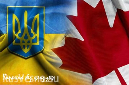 Украинская диаспора Канады угрожает прикратить помощь Киеву из-за тотальной коррупции