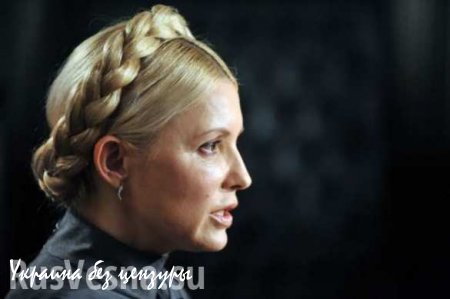 Украинские СМИ назвали главным «охотником на кролика» Юлию Тимошенко, решительно нацеленную на премьерство