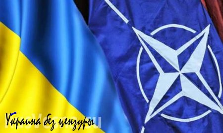 Число сторонников НАТО на Украине резко сократилось